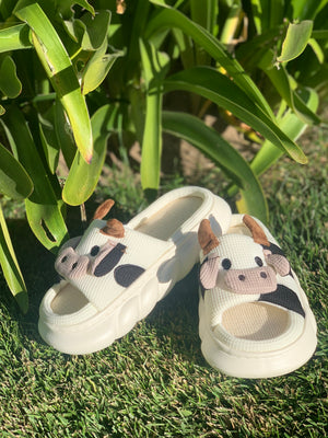 Vaquitas slippers